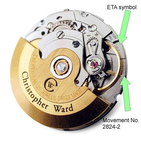 eta movements review